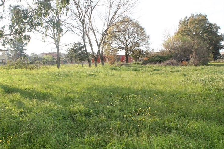 Realty photo 3