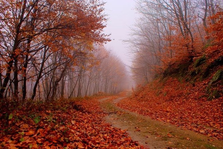 Realty photo 2