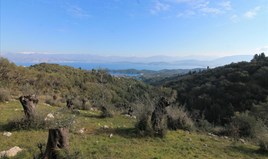 Land 6000 m² in Corfu