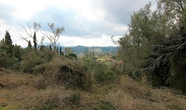 Γη 6189 μ² στην Κέρκυρα