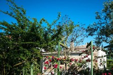 Property 35628 photo 13