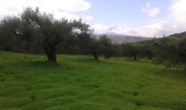 Land 4259 m² auf Kreta