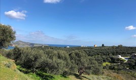 Land 4062 m² auf Kreta