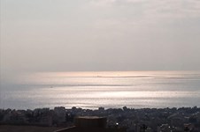 Property 3566 photo 49