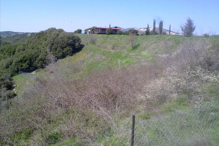 Realty photo 2