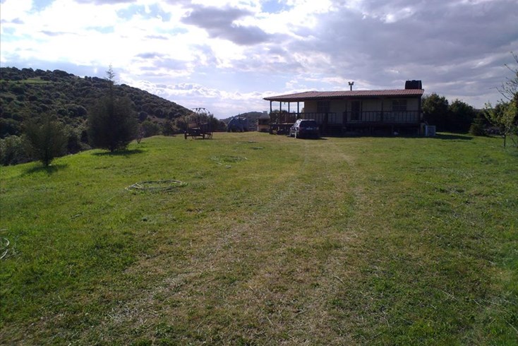 Realty photo 3