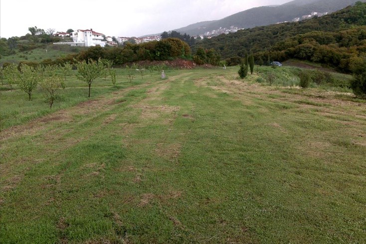 Realty photo 1