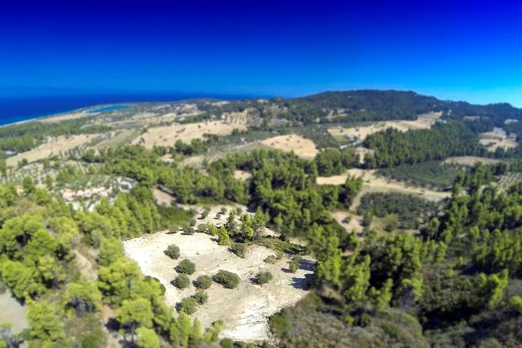 Realty photo 2