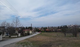 Land 1000 m² in Chalkidiki