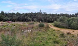 أرض 5500 m² في كورفو