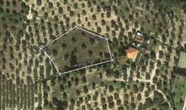 Земельна ділянка 5000 m² на Кассандрі (Халкідіки)