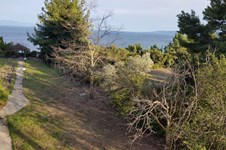 Property 35749 photo 13