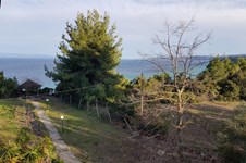 Property 35749 photo 3