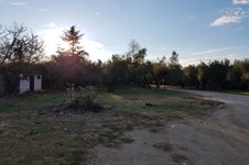 Property 35749 photo 17