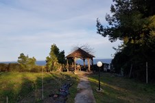 Property 35749 photo 14