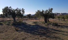 Land 10000 m² in Sithonia, Chalkidiki