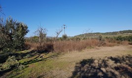 հողատարածք 1300 m² Խալկիդիկի-Սիթոնիայում