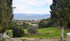 Land 21000 m² in Corfu