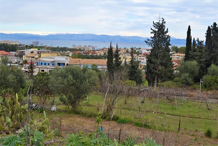 Realty photo 2