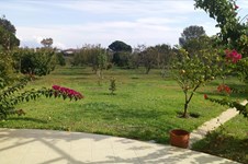Property 35798 photo 7