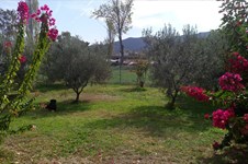 Property 35798 photo 8