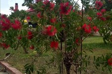Property 35798 photo 17