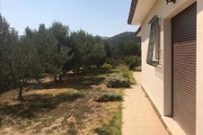 Property 35798 photo 25
