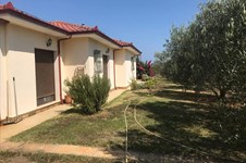 Property 35798 photo 39