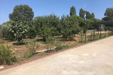 Property 35798 photo 48