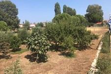 Property 35798 photo 50