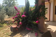 Property 35798 photo 53