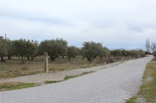Property 35800 photo 3