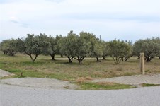 Property 35800 photo 1