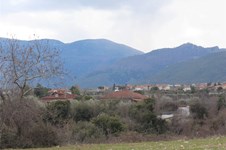 Property 35800 photo 4