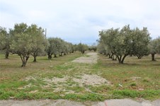 Property 35800 photo 2
