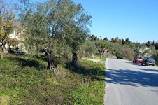 Property 35813 photo 2
