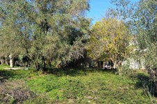 Property 35813 photo 5