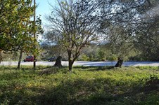 Property 35813 photo 4