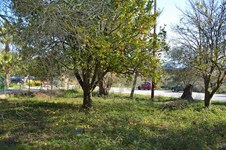 Property 35813 photo 6
