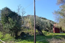 Property 35813 photo 8