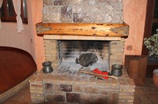 Property 3583 photo 6