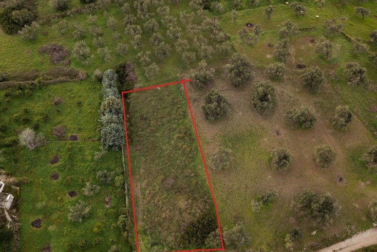 Realty photo 1
