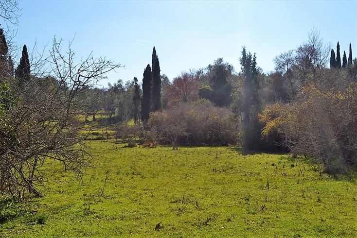 Realty photo 2