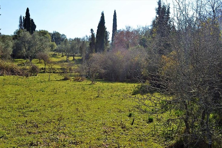 Realty photo 1