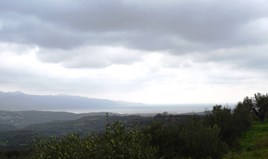 հողատարածք 10000 m² Կրետե կղզում