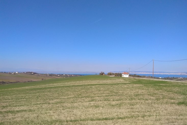 Realty photo 1