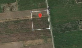 Land 14600 m² in Chalkidiki