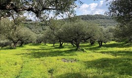 հողատարածք 1360 m² Կրետե կղզում