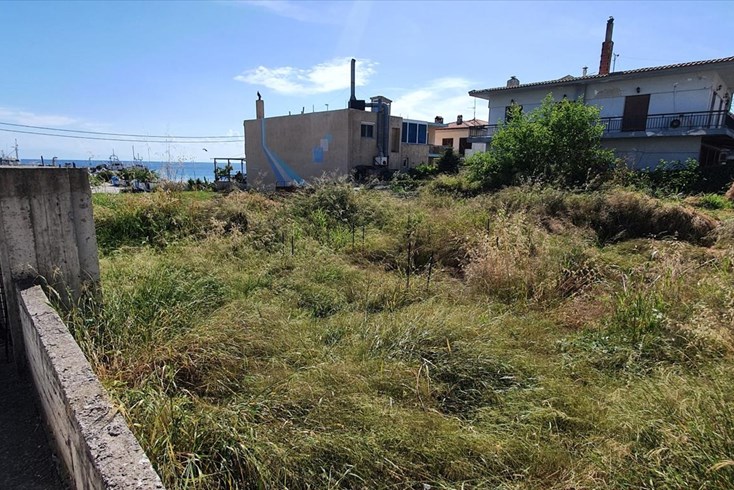 Realty photo 3