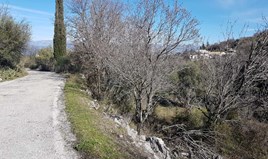 Land 2600 m² in Corfu